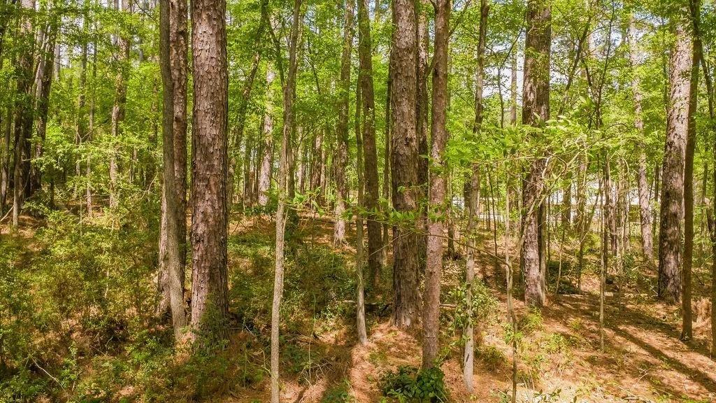 Photo of 1723 Pineview Lane
