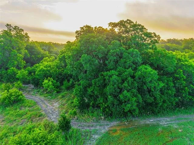 Photo of 524 County Road 453