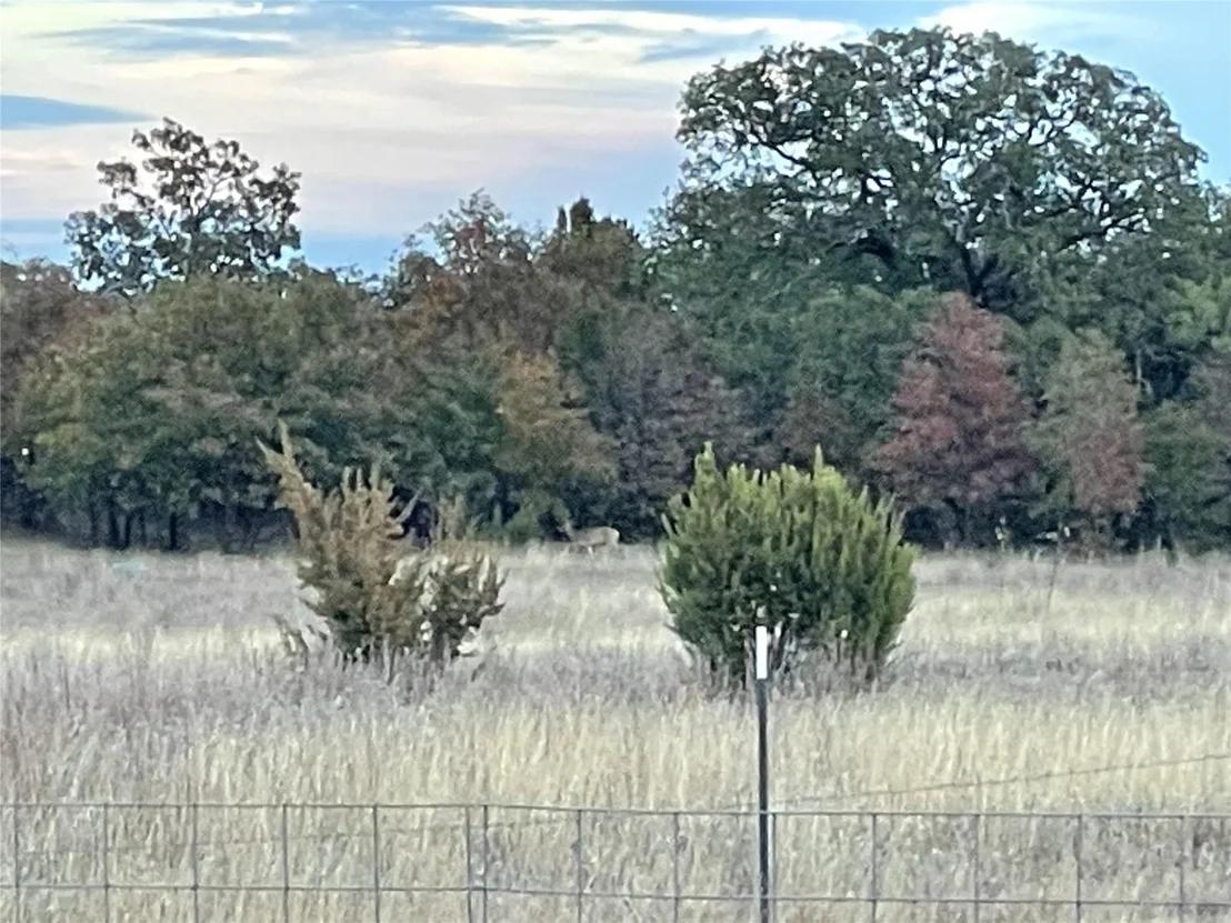 Photo of 2221 Lemons Gap Road