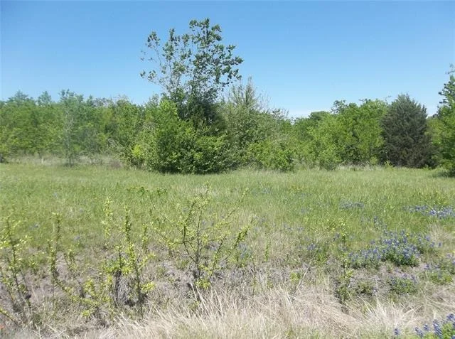 Photo of 1821 State Highway 309