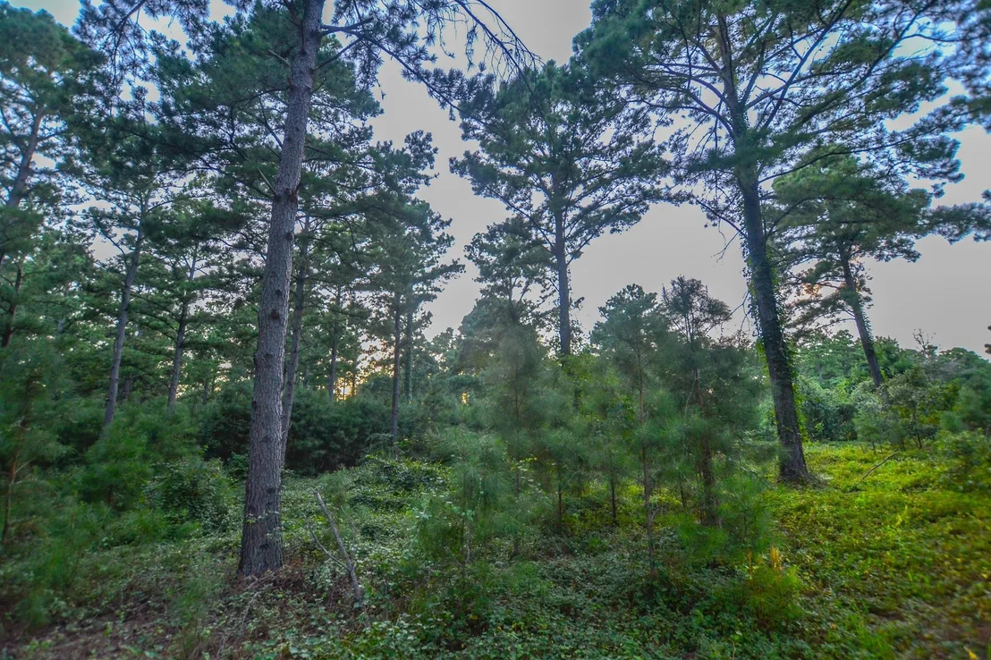 Photo of Tract 3 Hwy 155