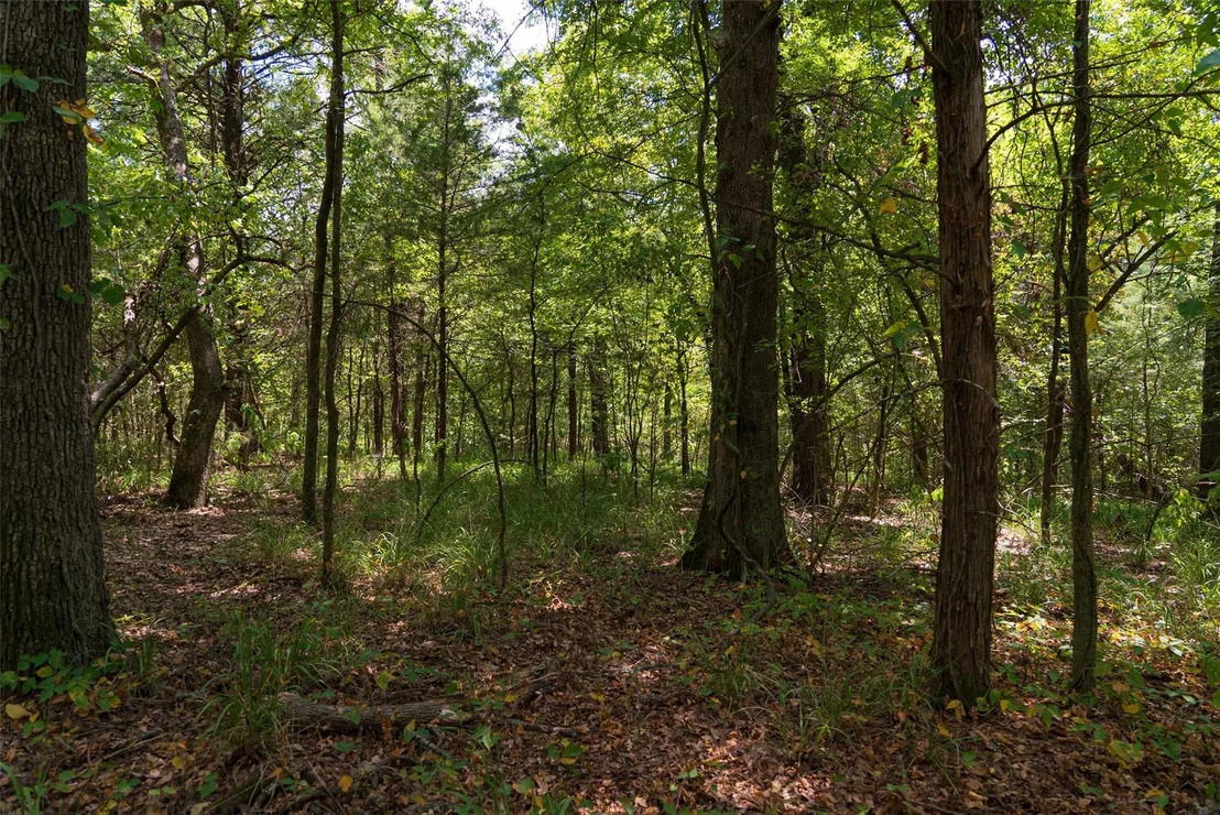 Photo of 11748 River Ranch Road