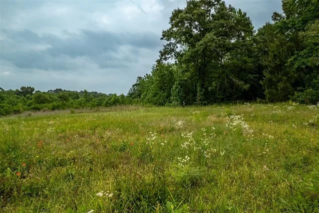 Photo of 23050 COUNTY ROAD 244