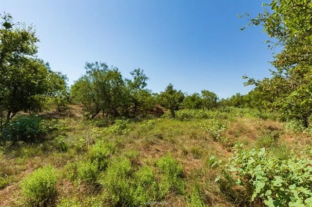 Photo of 1363 County Road 441