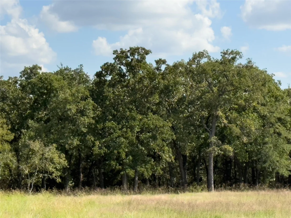 Photo of 330 Rolling Ranch Boulevard