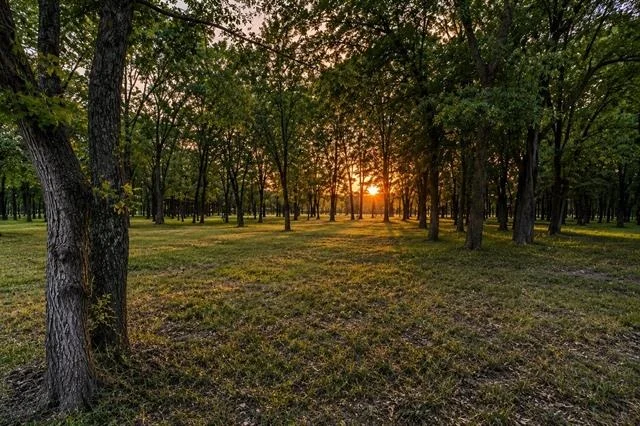 Photo of 0000 Tee Taw Circle