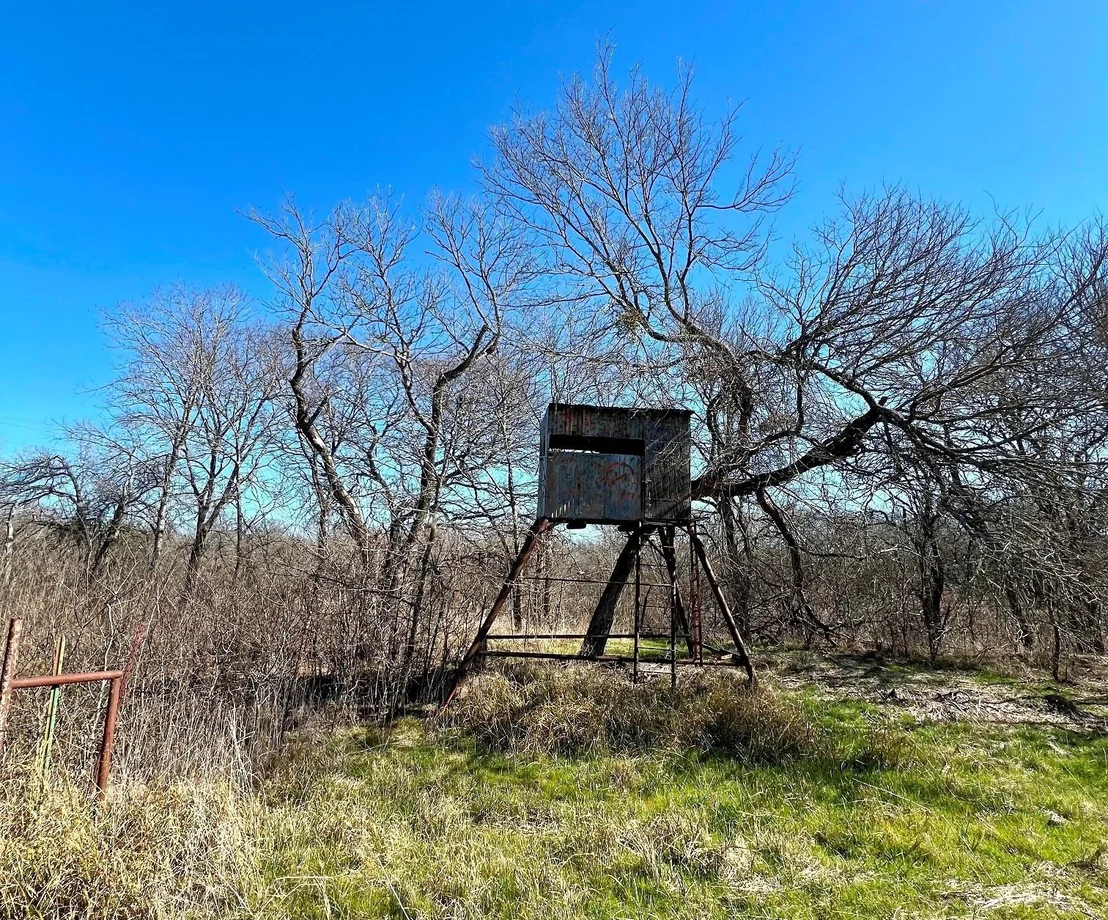 Photo of 9595 County Road 262