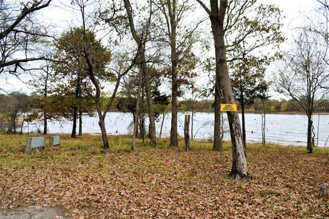 Photo of 213 County Road 1997