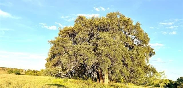 Photo of 130 County Road 120