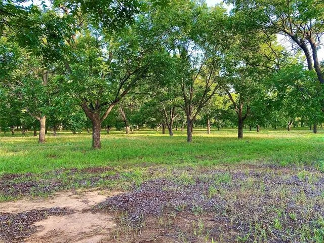 Photo of 751 County Road 424