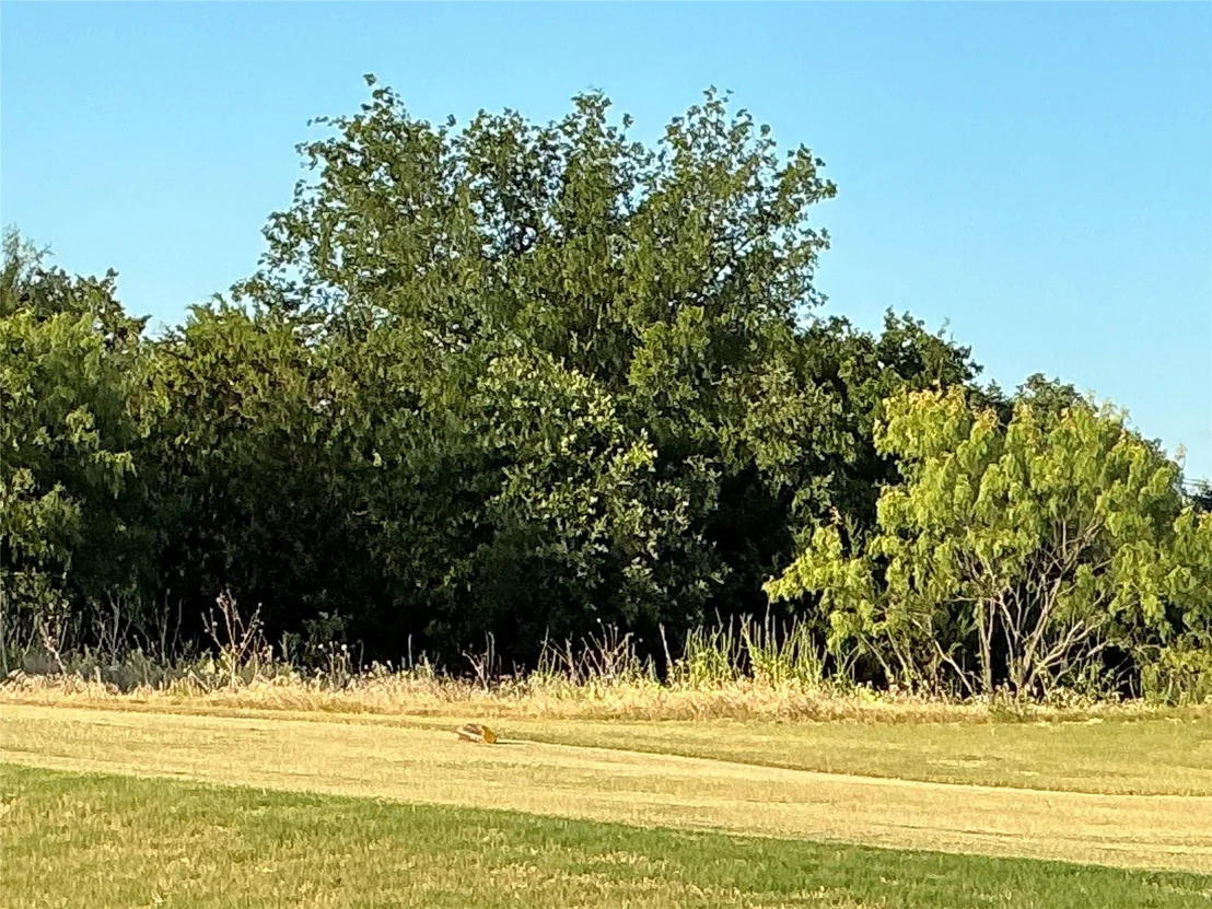 Photo of 16021 Faircrest Drive