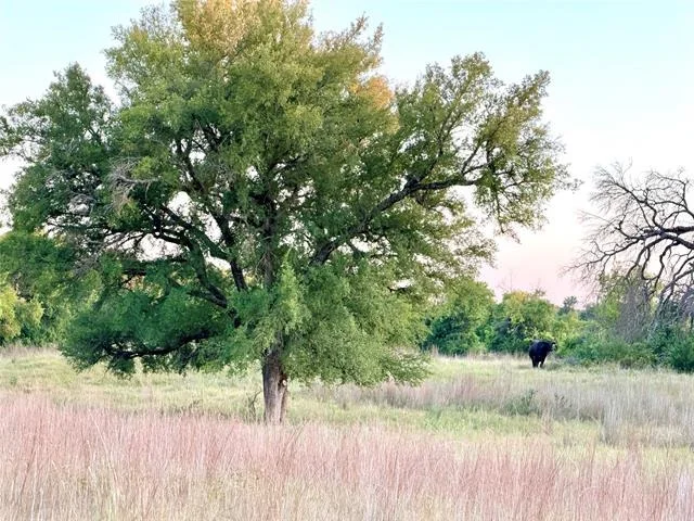 Photo of 130 County Road 120