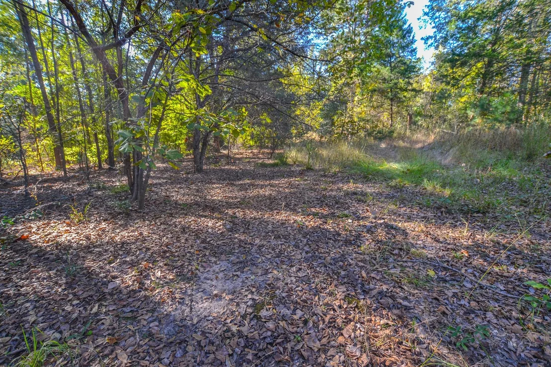 Photo of 7821 Cr 3409