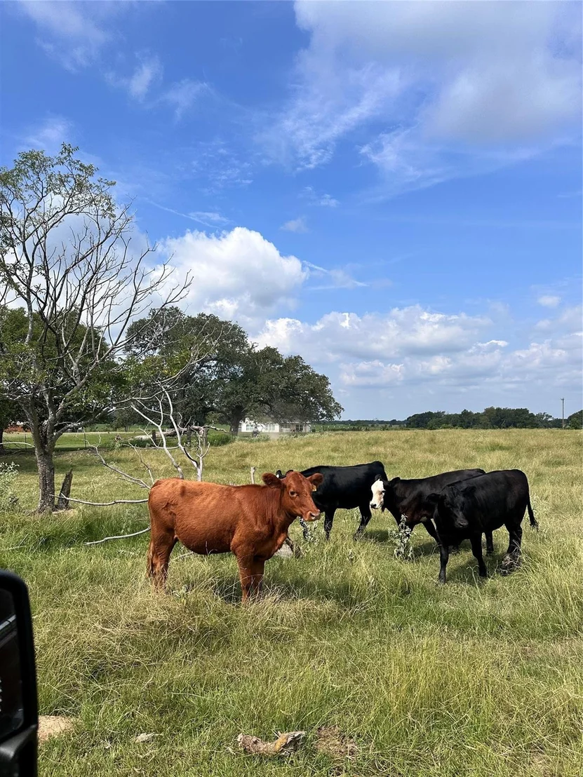 Photo of 200 VZ CR 2422