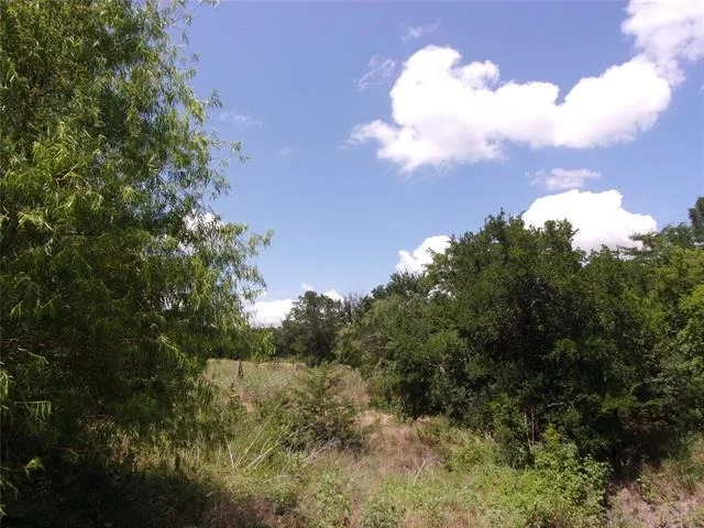 Photo of 4172 Willow Oak Bend
