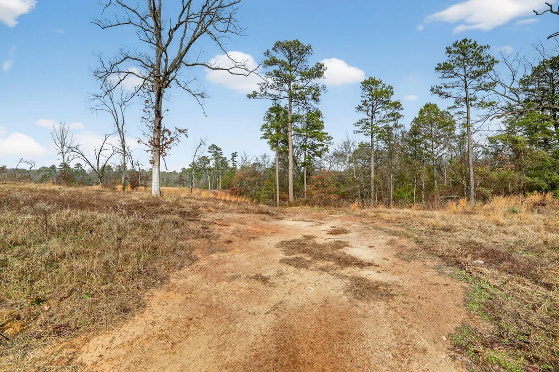 Photo of 868 County Road 2920
