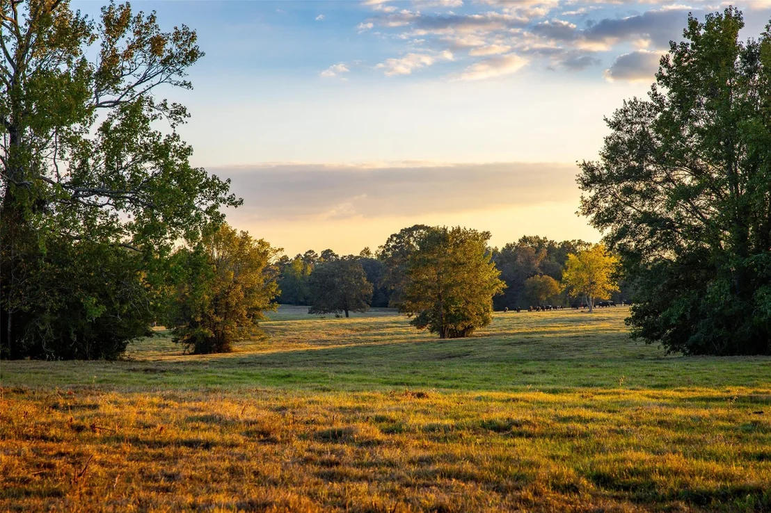 Photo of 973 County Road 2572
