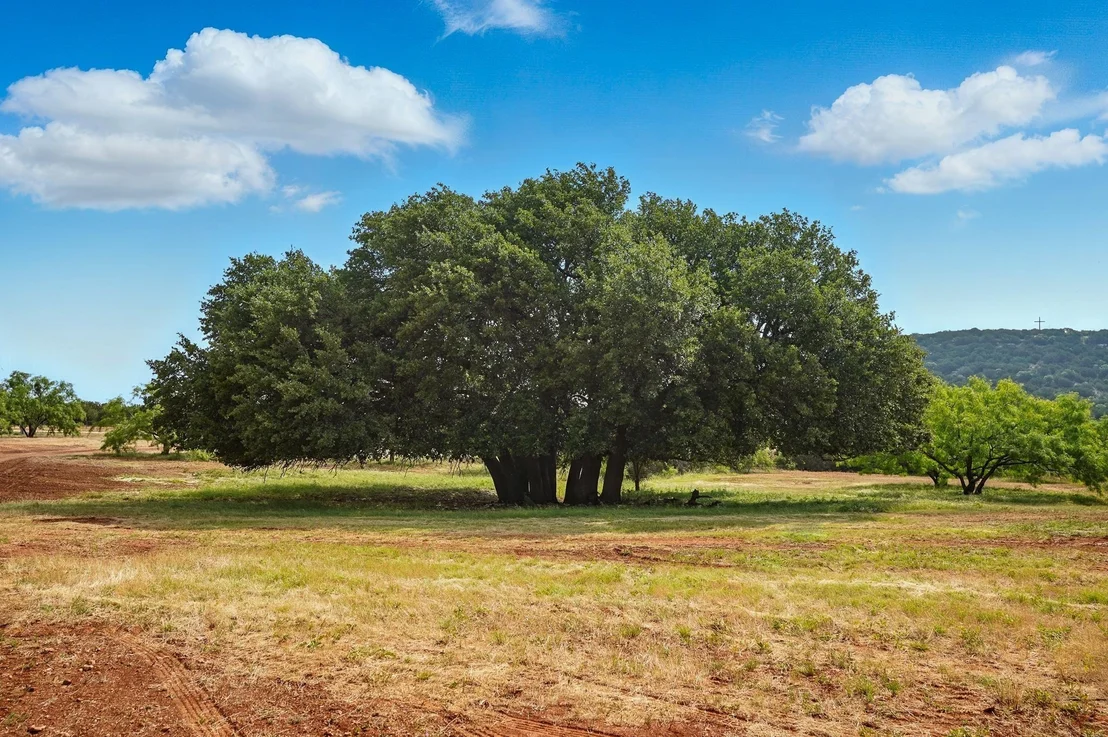 Photo of 635 County Road 184