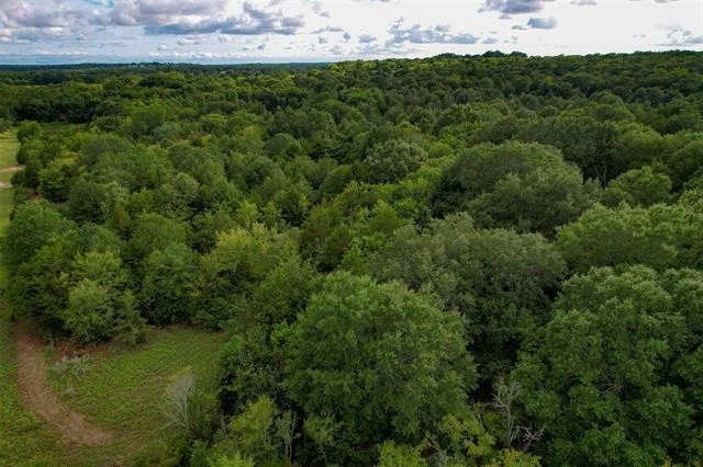 Photo of 8690 County Road 1119