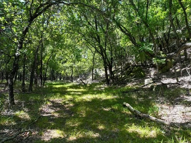 Photo of 18156 Hwy 281 N