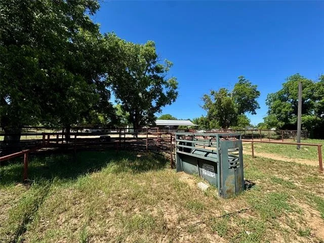 Photo of 507 Hawk Lane