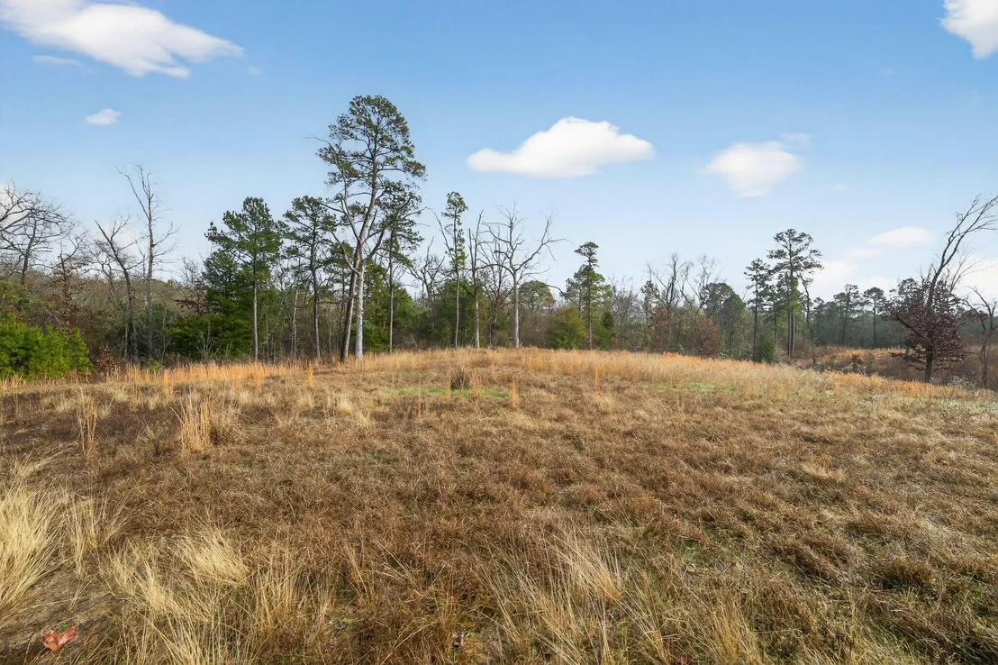 Photo of 868 County Road 2920