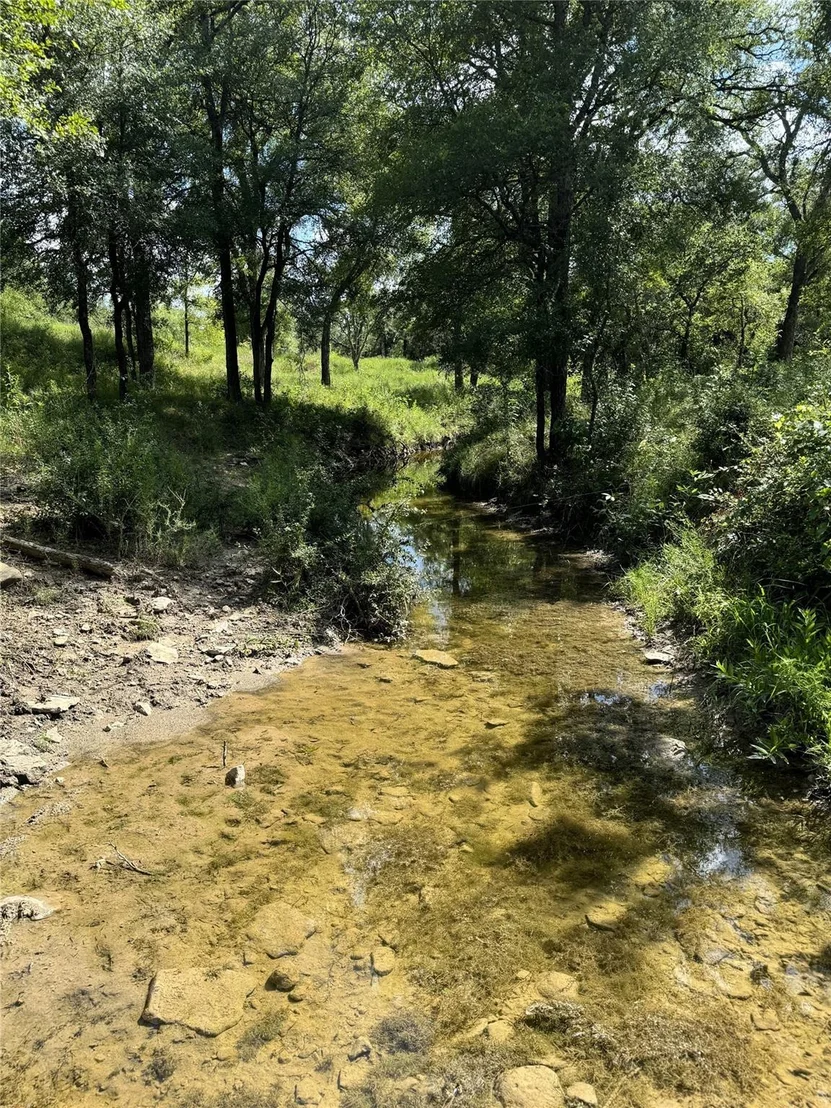 Photo of 342 Tatanka Trail