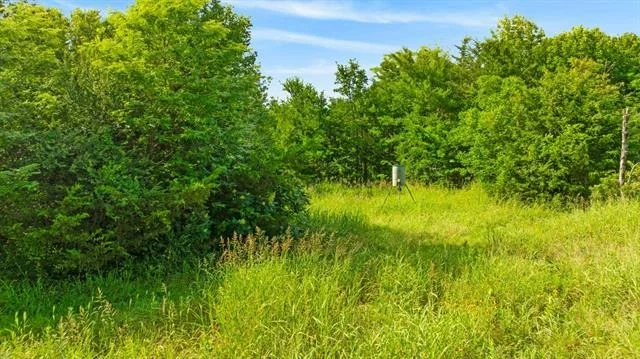 Photo of 1101 County Road 2810