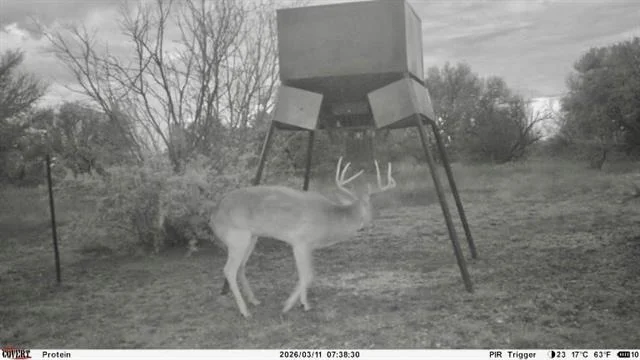 Photo of 180 CR 531