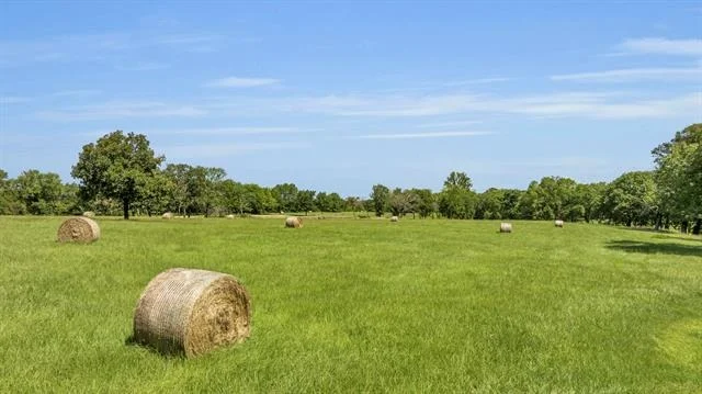 Photo of 365 County Road 1534
