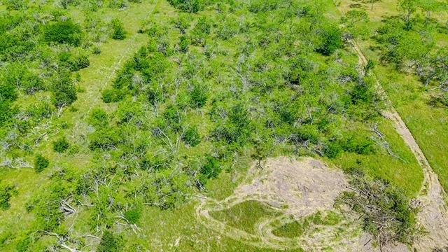 Photo of Lot 75 Palmito Ranch Road