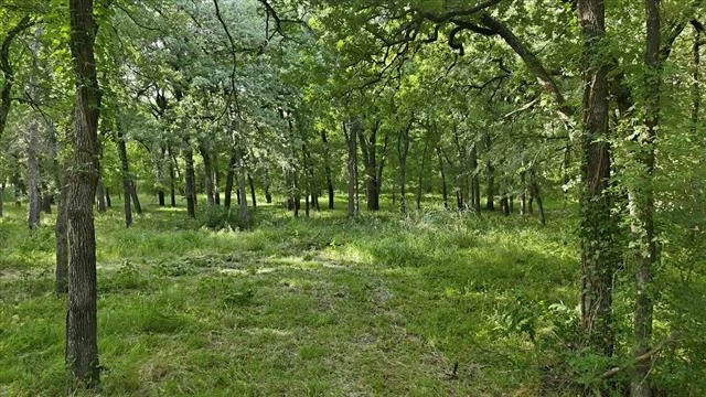 Photo of 596 County Road 4668