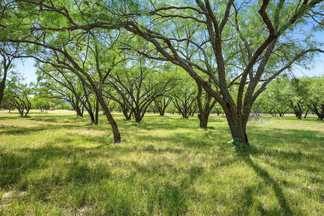 Photo of 635 County Road 184