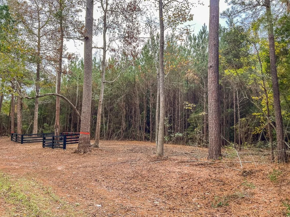 Photo of 012 CR 2307