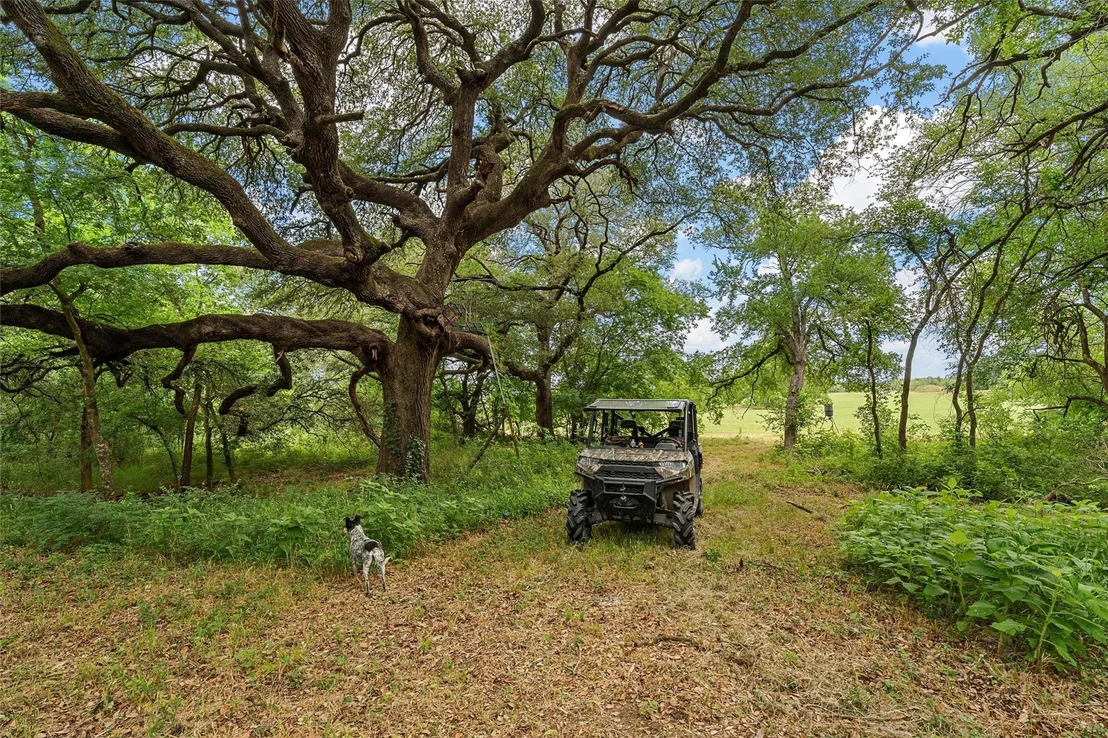 Photo of 654 County Road 473