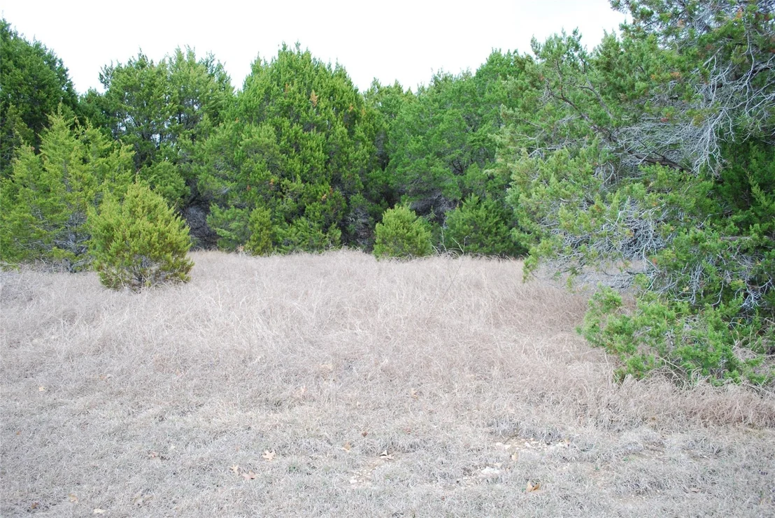 Photo of 43111 Indian Blanket Drive