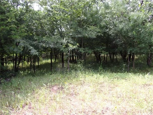 Photo of 4188 Willow Oak Bend