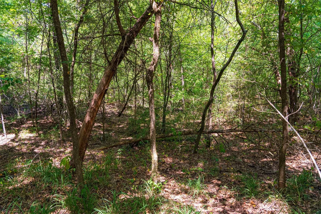 Photo of 11748 River Ranch Road