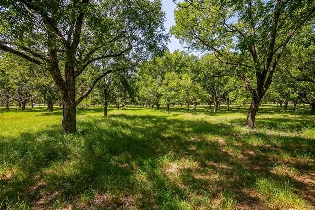 Photo of 2525 Buckskin Drive
