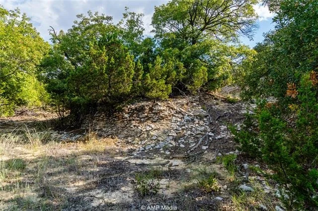 Photo of 1982 Mountain Pass Rd