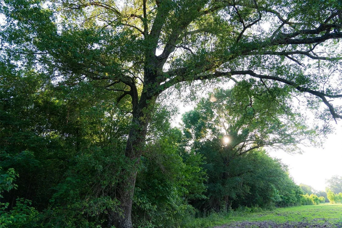 Photo of 13612 County Road 3900