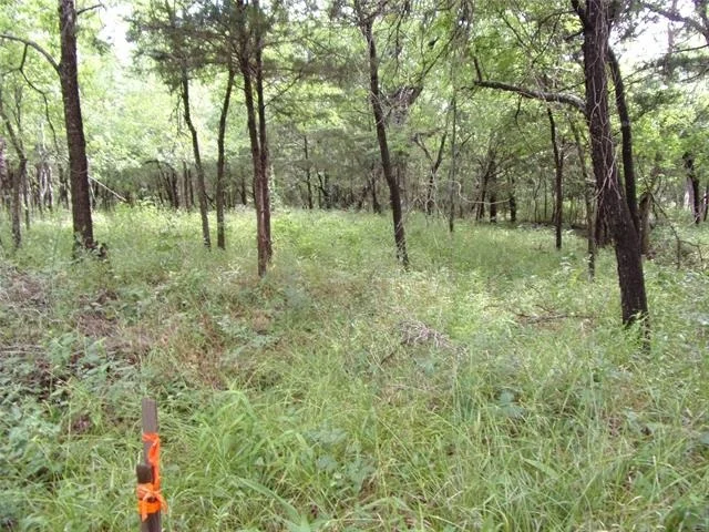 Photo of 4188 Willow Oak Bend