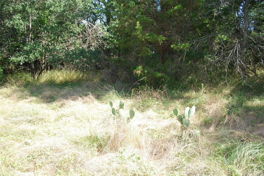 Photo of 1306 Overlook Drive