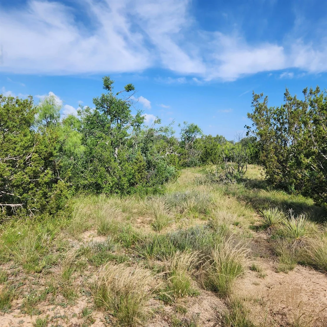Photo of 824 CR 409