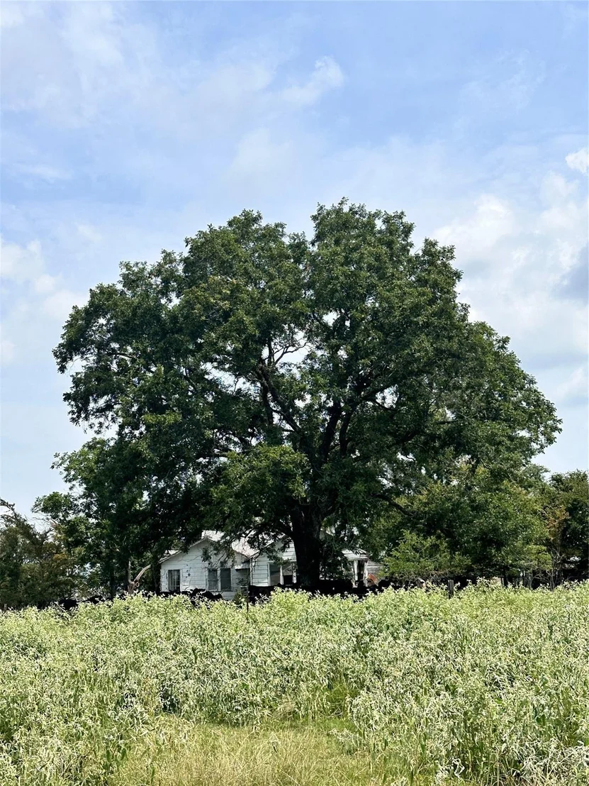 Photo of 200 VZ CR 2422