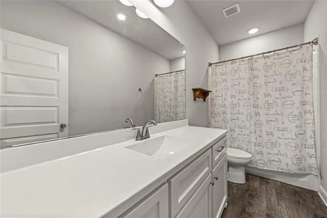 Photo of 225 Swan Lake