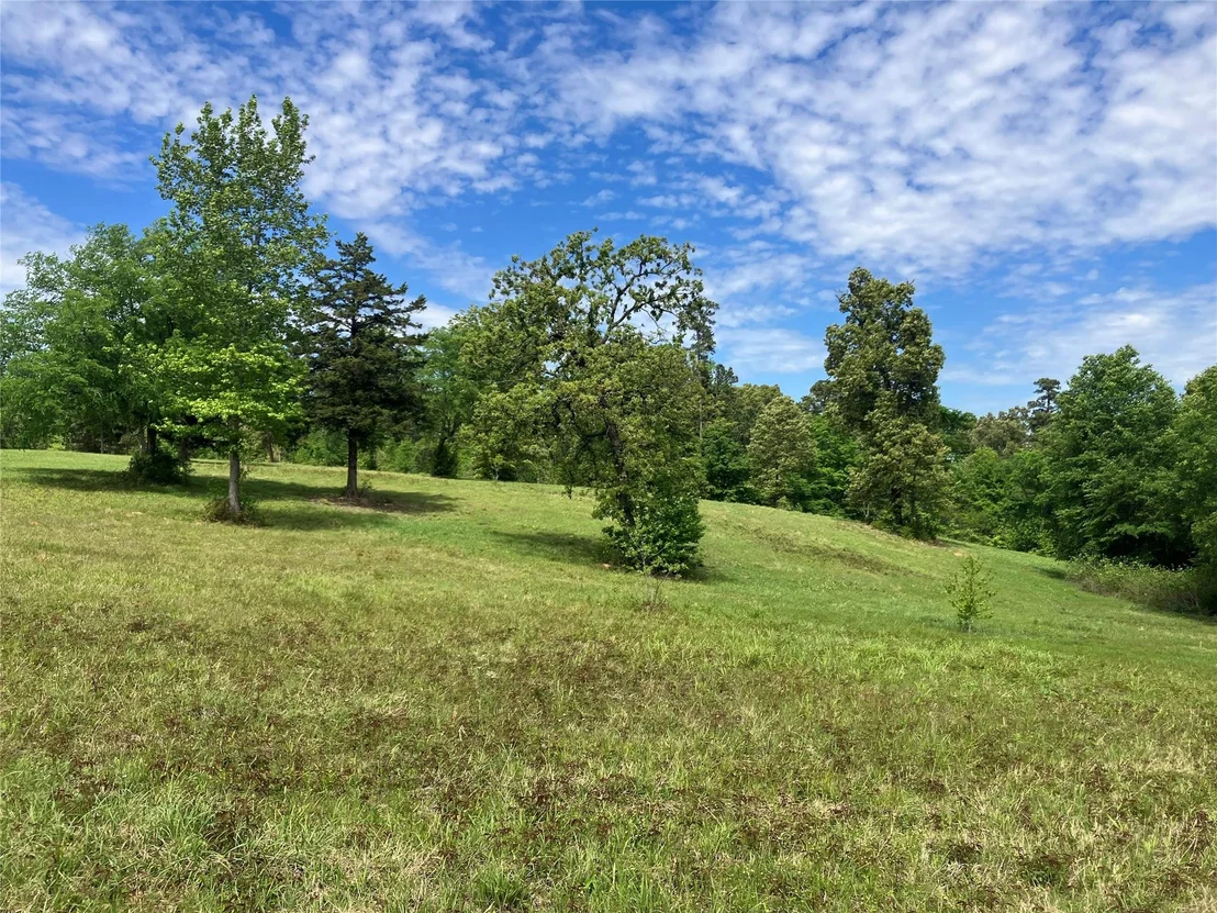 Photo of TBD Ridgeline Loop