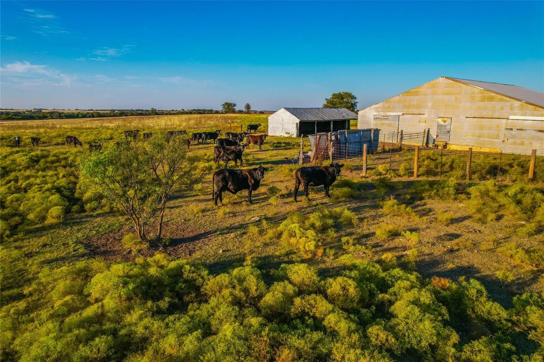 Photo of 515 County Road 262