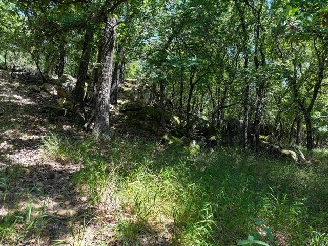 Photo of 18156 Hwy 281 N