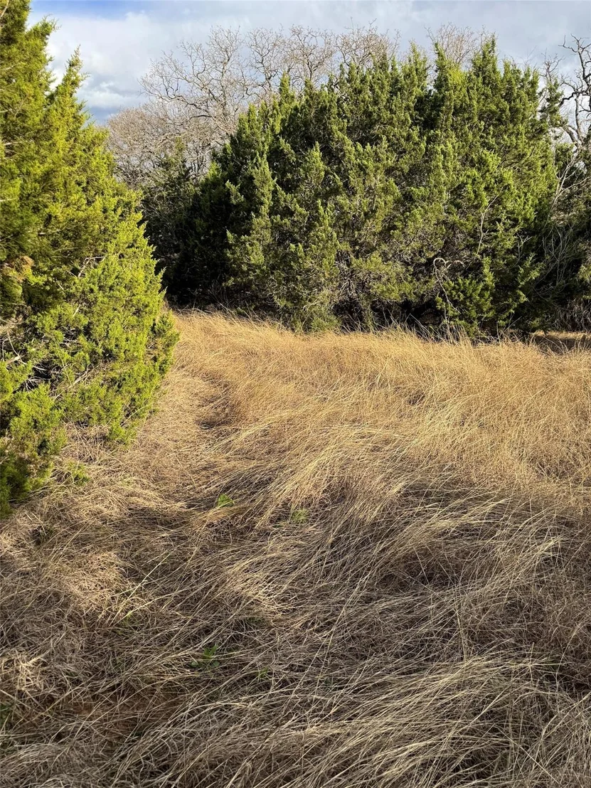 Photo of 32039 Dove Trail